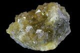 Yellow, Cubic Fluorite Crystal Cluster - Spain #98692-1